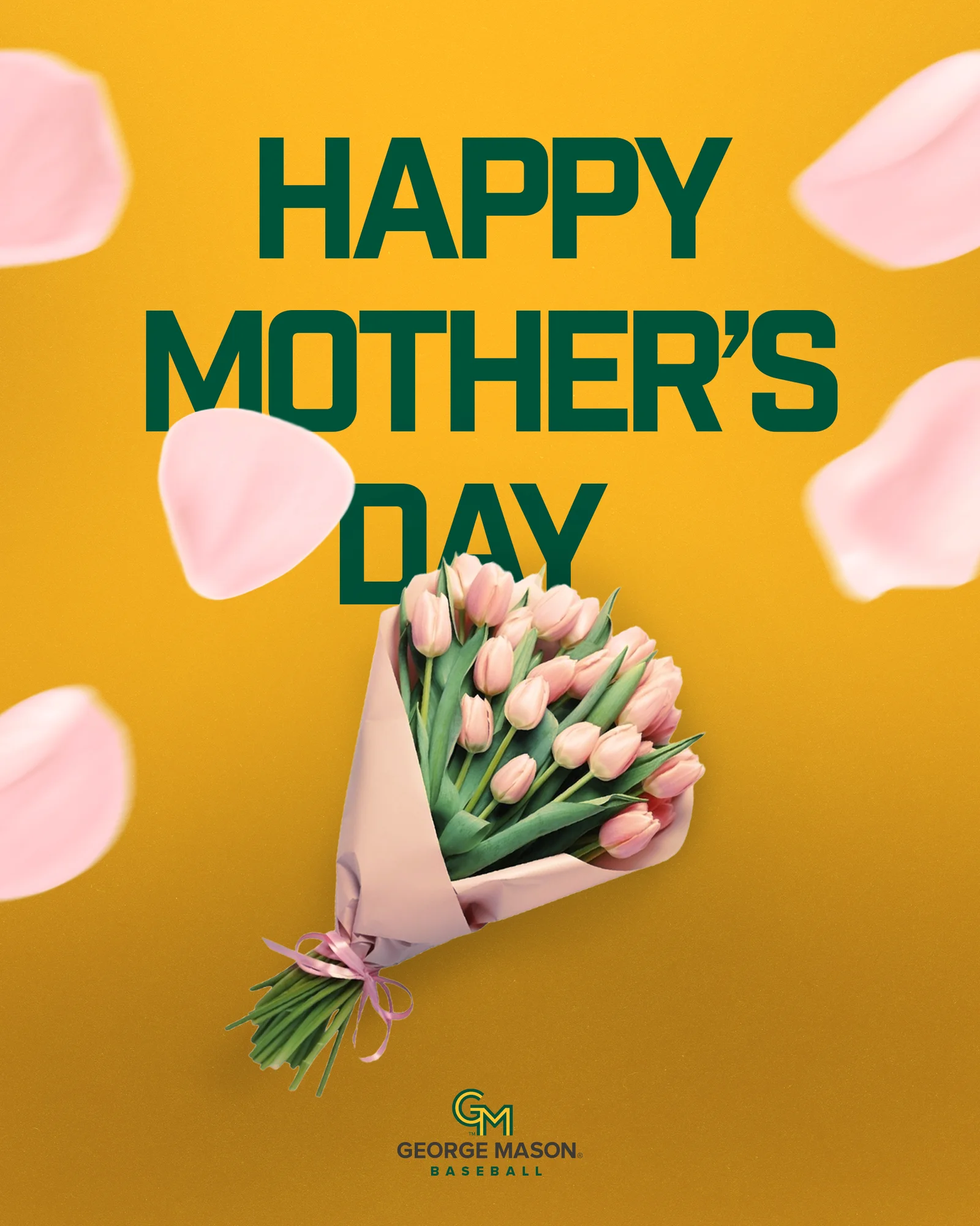 Mother's Day — George Mason Baseball